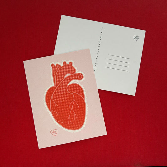 Quirky Anatomical Heart Valentine Postcard - Pack of 10